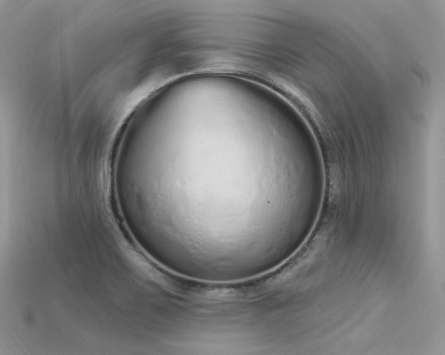 X0000115711467200911121415