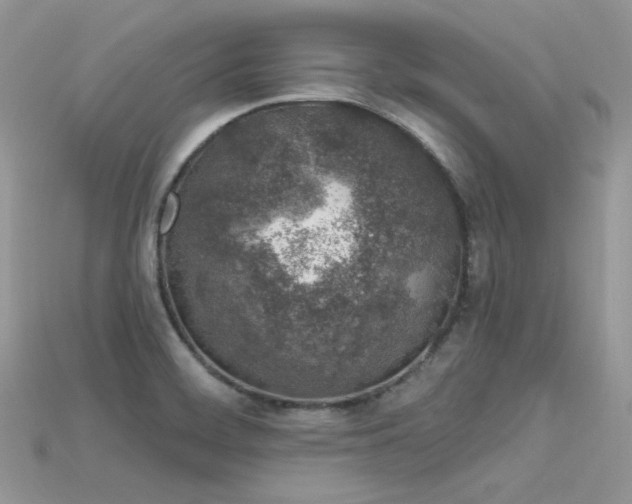 X0000115711468200911121415