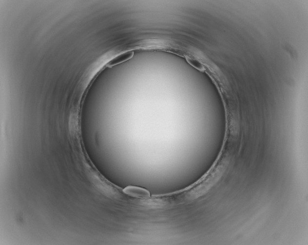 X0000115711473200911121415