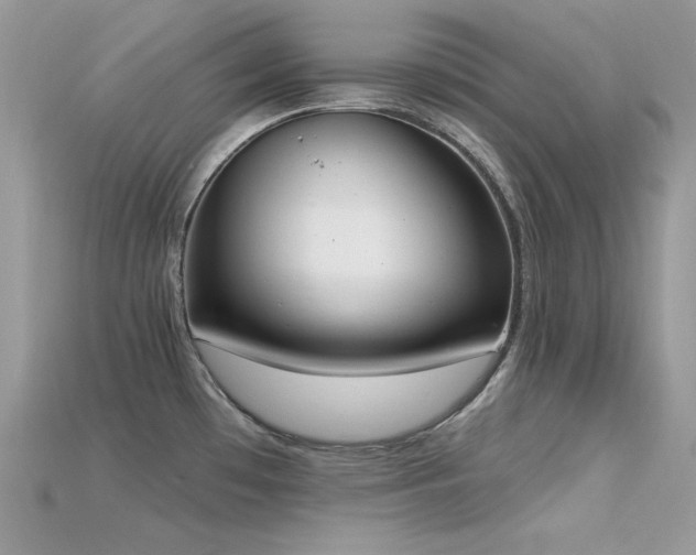 X0000115711481200911121415