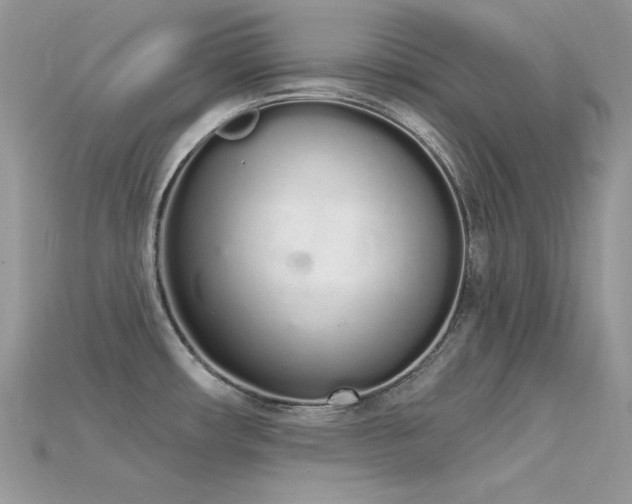 X0000115711482200911121415