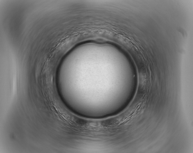 X0000115711489200911121414