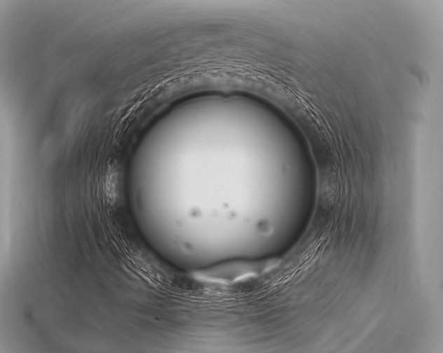 X0000115711490200911121414