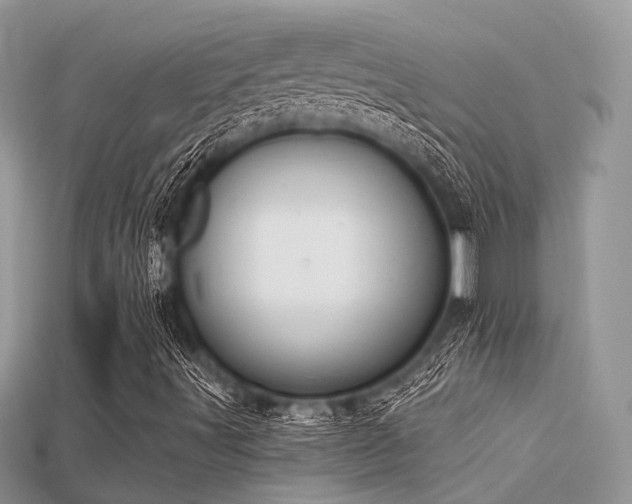 X0000115711491200911121414