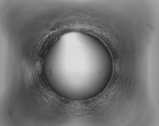 X0000115711493200911121414