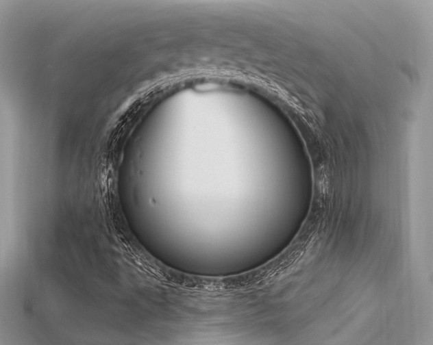 X0000115711495200911121414