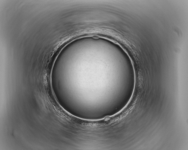 X0000115711497200911121414