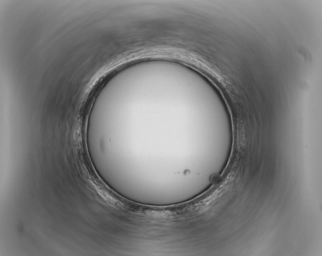 X0000115711498200911121414