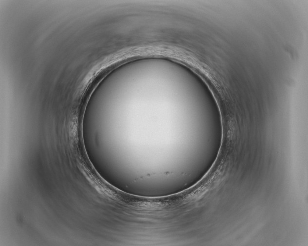 X0000115711499200911121414