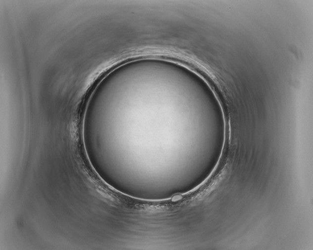 X0000115711501200911121414