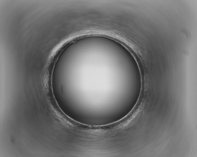 X0000115711502200911121414