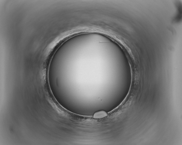 X0000115711503200911121414