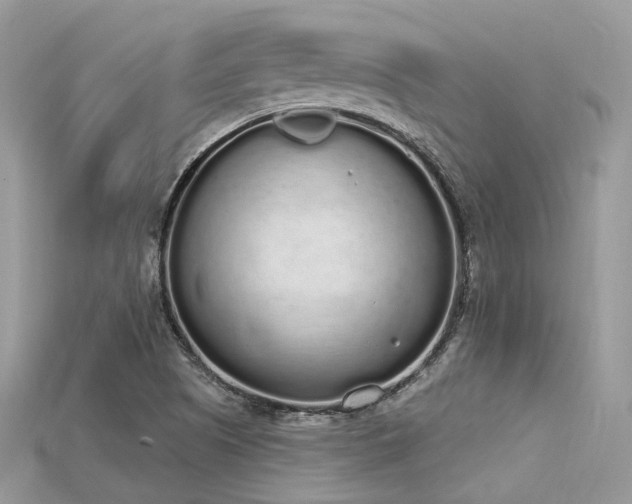 X0000115711505200911121414