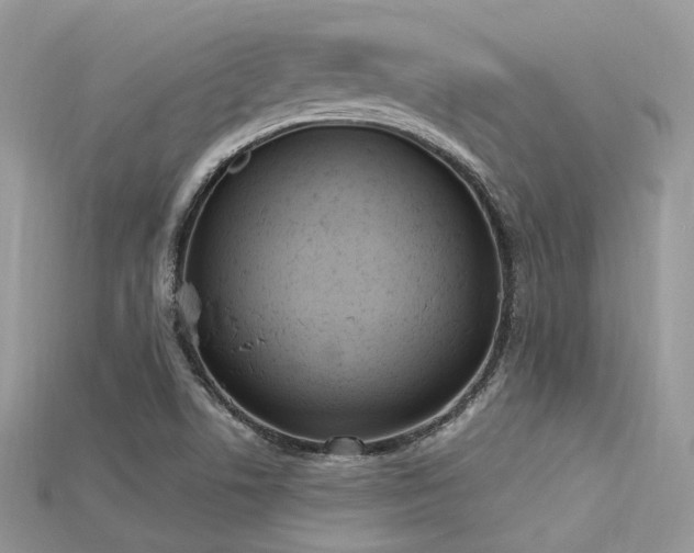 X0000115711506200911121414