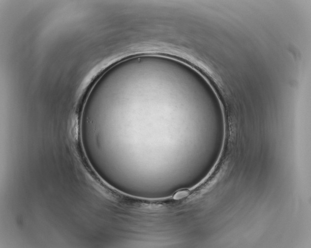 X0000115711509200911121414