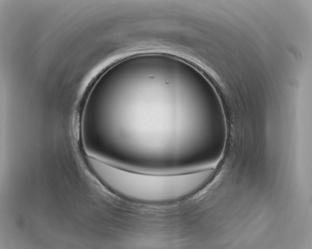 X0000115711510200911121414