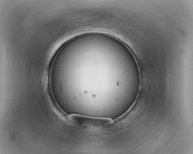 X0000115711511200911121414