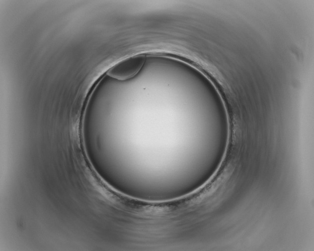 X0000115711513200911121414