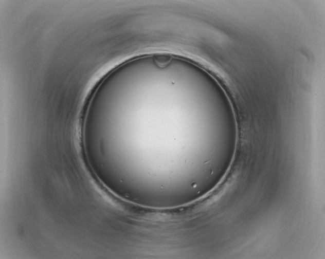 X0000115711517200911121414