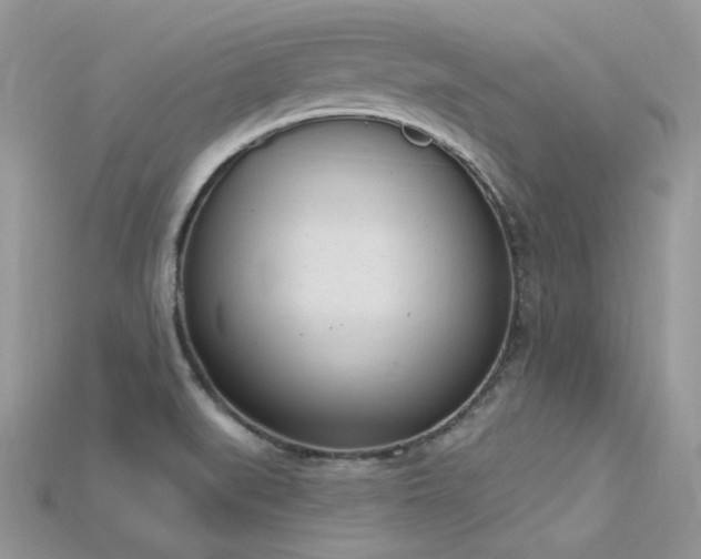 X0000115711519200911121414