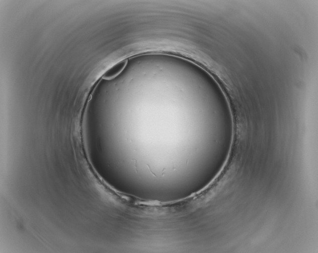 X0000115711521200911121415