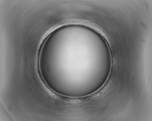 X0000115711525200911121415