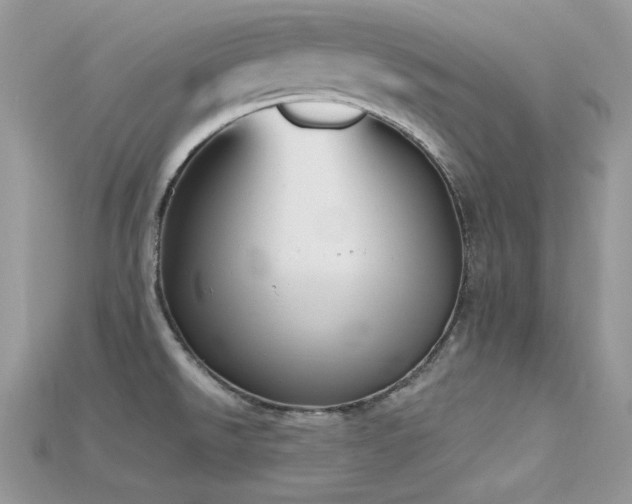 X0000115711526200911121415