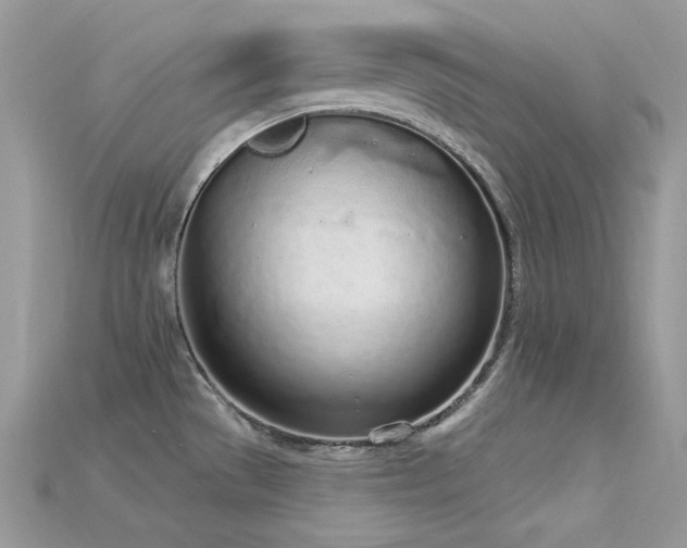 X0000115711529200911121415