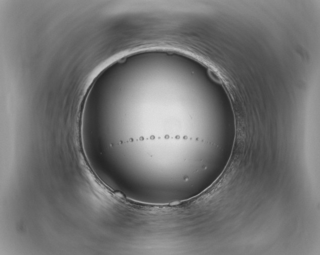 X0000115711534200911121415