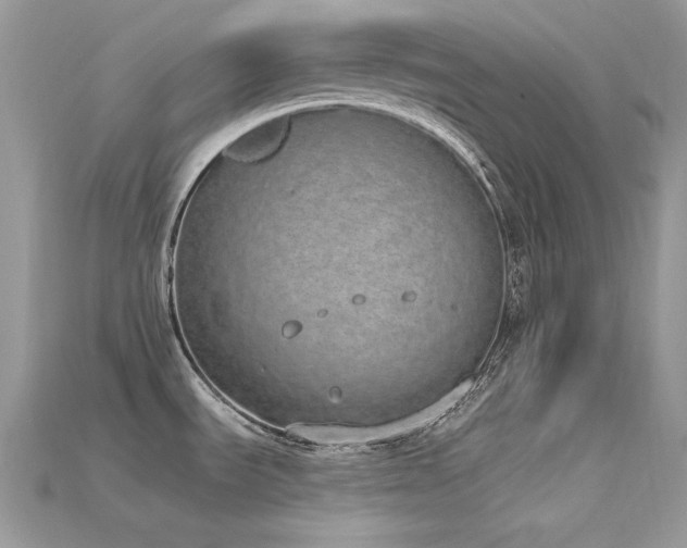 X0000115711535200911121415