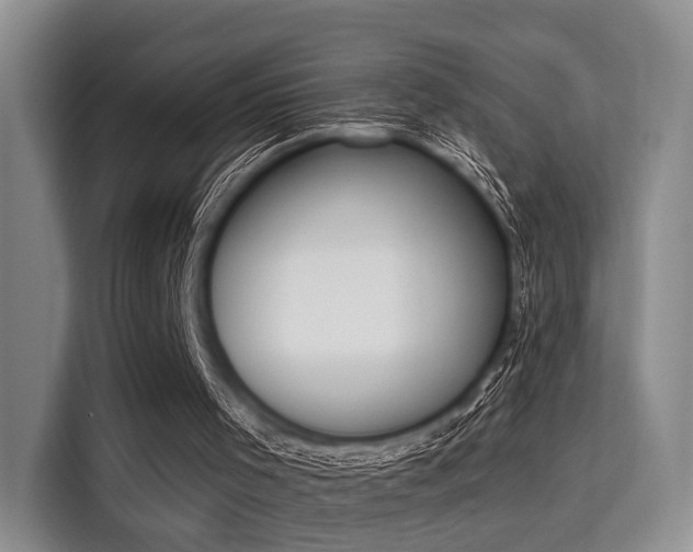 X0000115710001200911191259