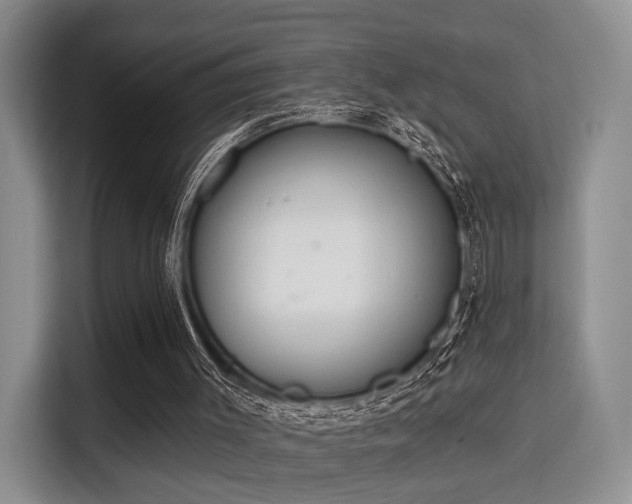 X0000115710003200911191259