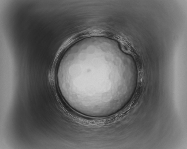 X0000115710004200911191259