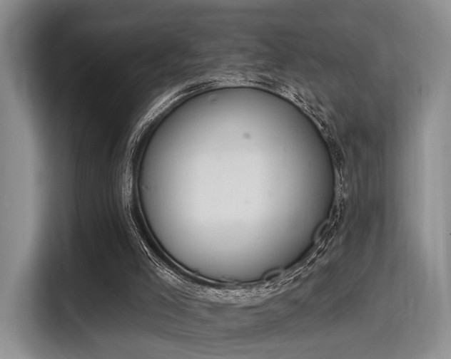 X0000115710005200911191259