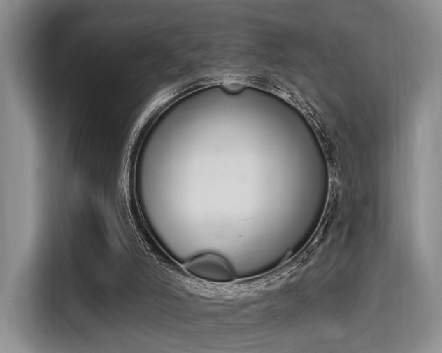 X0000115710006200911191259