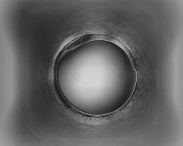 X0000115710008200911191259