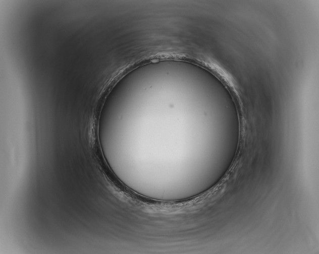 X0000115710009200911191259