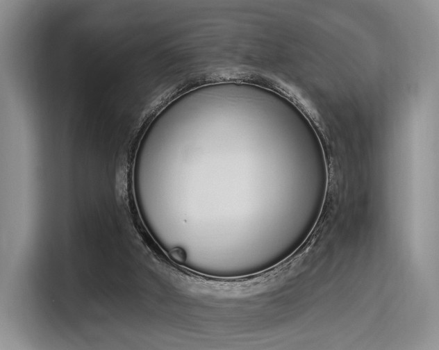 X0000115710010200911191259