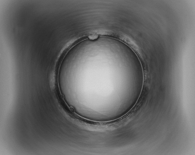 X0000115710012200911191259