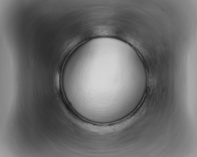 X0000115710014200911191259