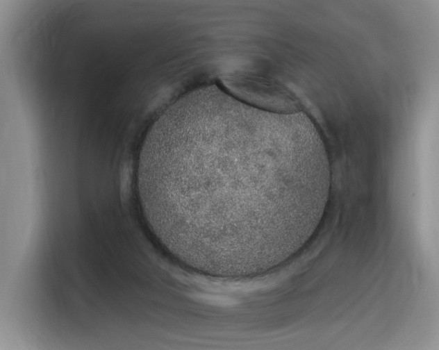 X0000115710018200911191259