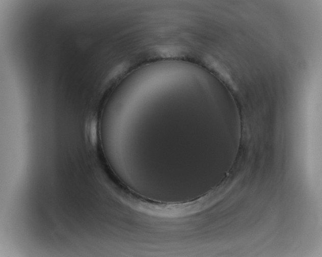 X0000115710019200911191259