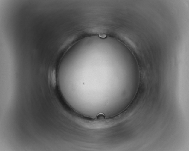 X0000115710020200911191259