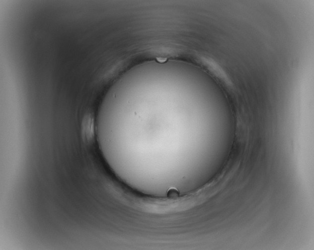 X0000115710021200911191259