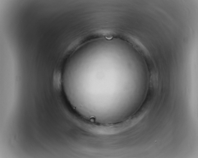 X0000115710024200911191259