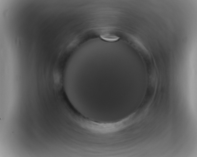 X0000115710031200911191258