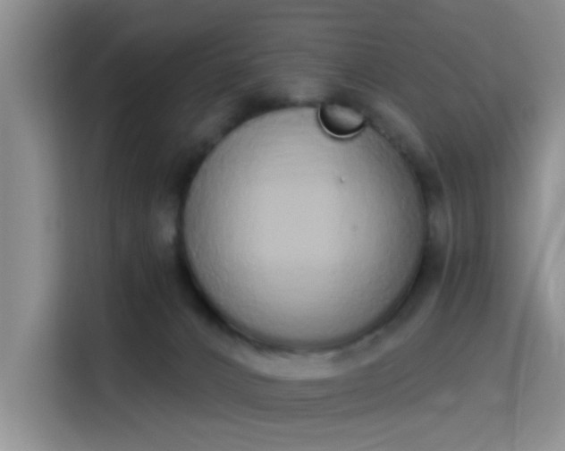 X0000115710032200911191258