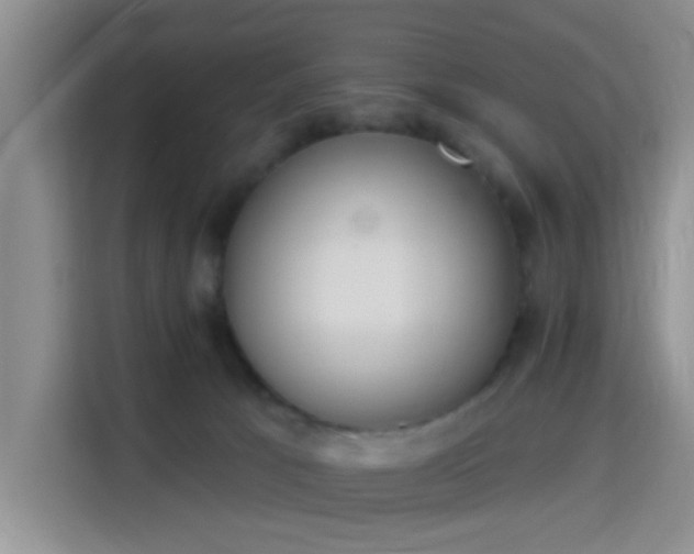 X0000115710033200911191258