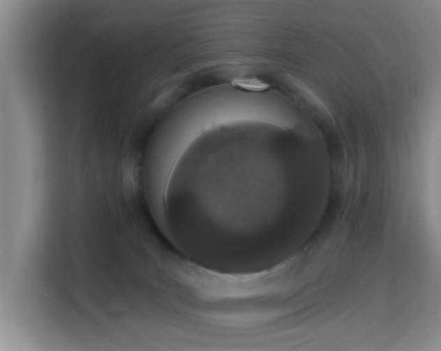 X0000115710035200911191258