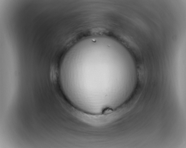 X0000115710038200911191258